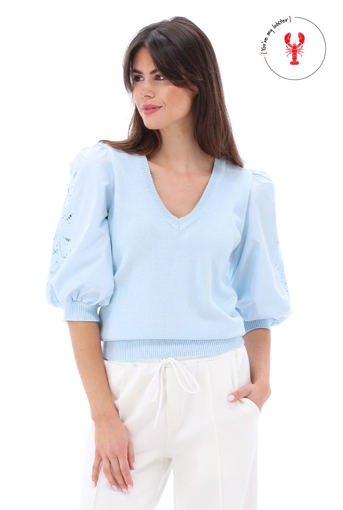 LOGO LOBSTER DEF kopie 80